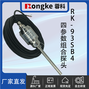 RK/939SB4四参数组合探头