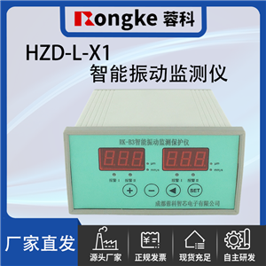 HZD-L-X1/RK振动检测表