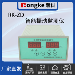 RK-ZD/RK振动检测表