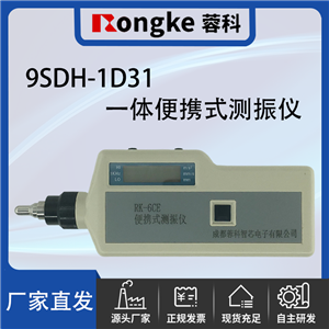 9SDH-1D31一体便携式测振仪/振动检测表